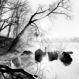 vignette