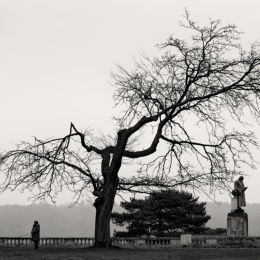 vignette